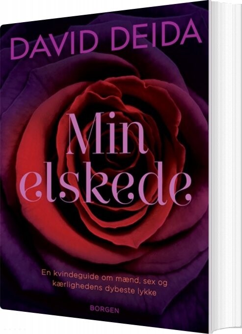 Min Elskede - David Deida - Bog - Borgen