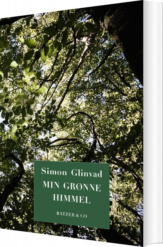 Min Grønne Himmel - Simon Glinvad - Bog - Batzer & Co