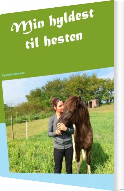 Min Hyldest Til Hesten - Rikke Strange - Bog - Books On Demand