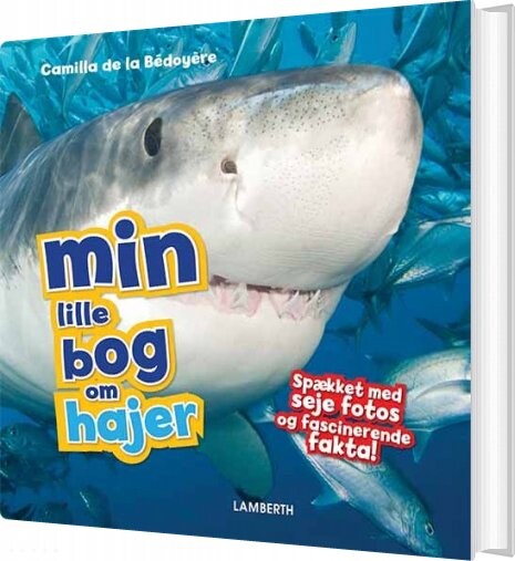 Min Lille Bog Om Hajer - Camilla De La Bédoyére - Bog - Lamberth