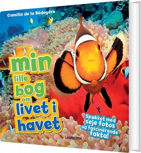 Min Lille Bog Om Livet I Havet - Camilla De La Bédoyére - Bog - Lamberth