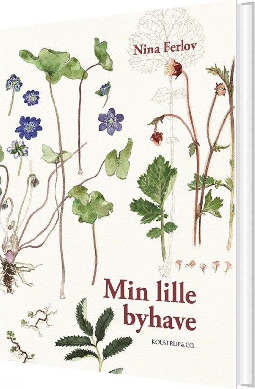 Min Lille Byhave - Nina Ferlov - Bog - Koustrup & Co