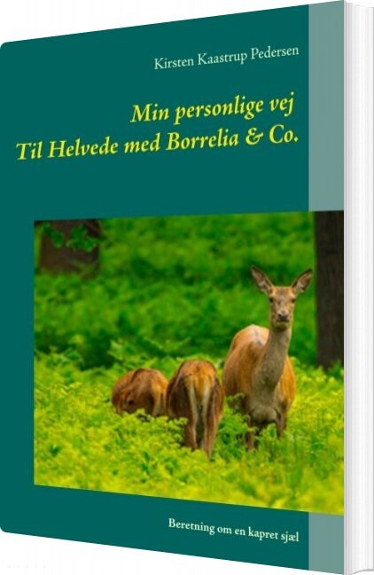 Min Personlige Vej Til Helvede Med Borrelia & Co - Kirsten Kaastrup Pedersen - Bog - Books On Demand