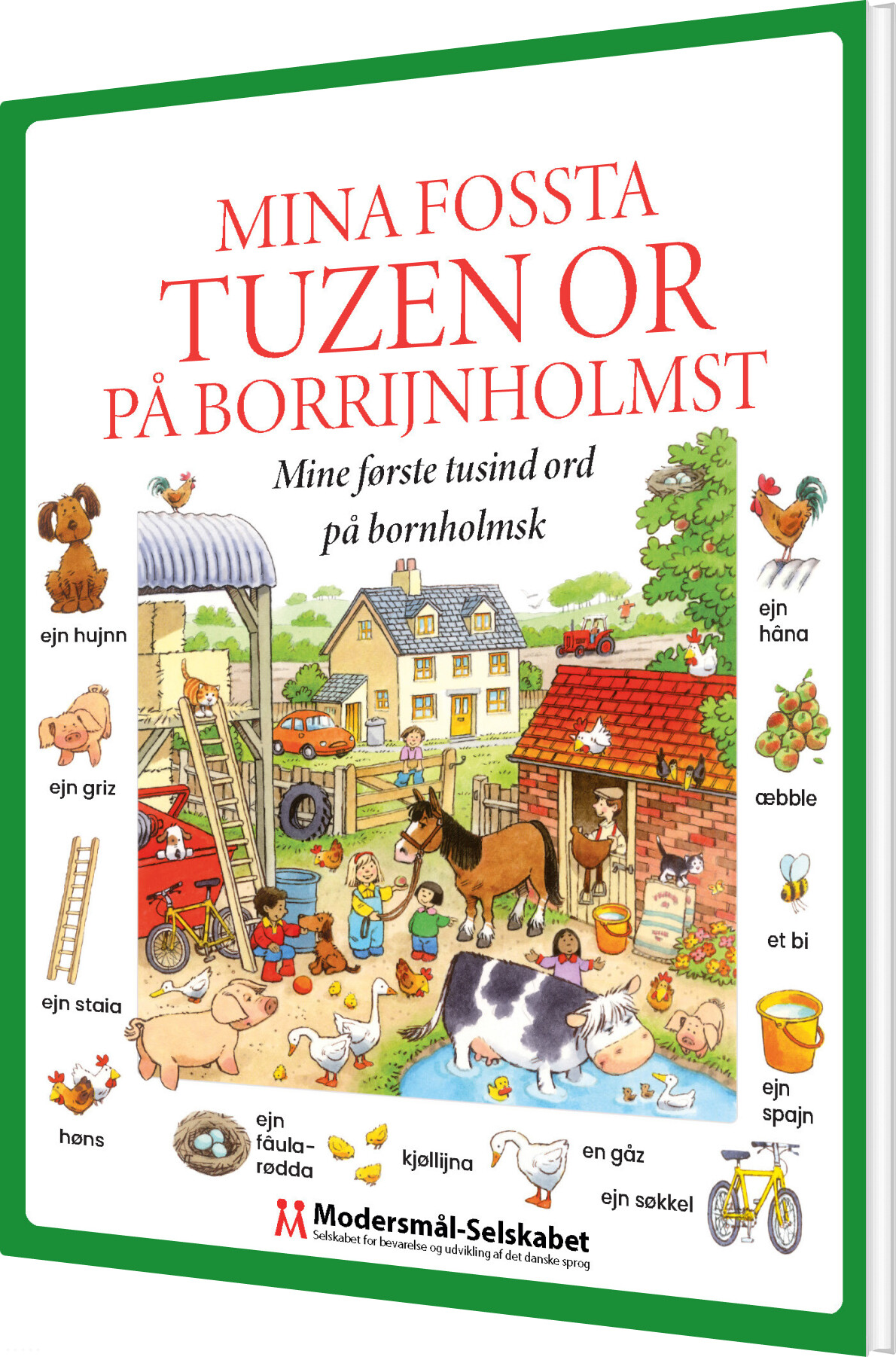 Mina Fossta Tuzen Or På Borrijnholmst - Heather Amery - Bog - Modersmål-selskabet
