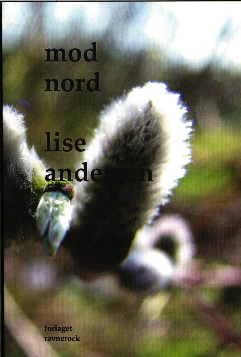 Mod Nord - Lise Andersen - Bog - Forlaget Ravnerock