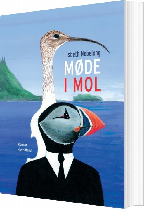 Møde I Mol - Lisbeth Nebelong - Bog - Hovedland