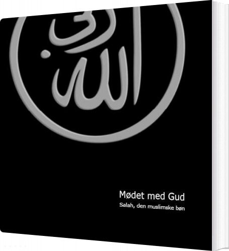 Mødet Med Gud - Zahid Abdullah - Bog - Vision Books