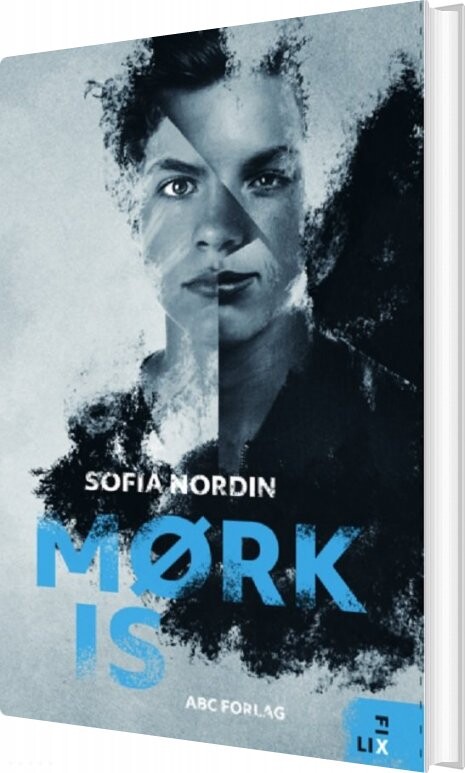 Mørk Is - Sofia Nordin - Bog - Abc Forlag