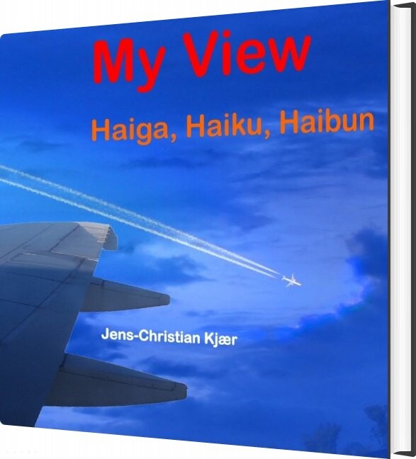 My View - Jens-christian Kjær - English Book - Books On Demand