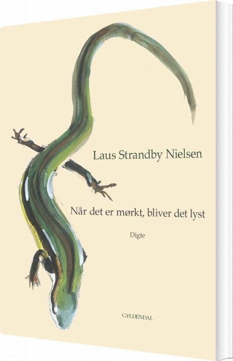 Når Det Er Mørkt, Bliver Det Lyst - Laus Strandby Nielsen - Bog - Gyldendal