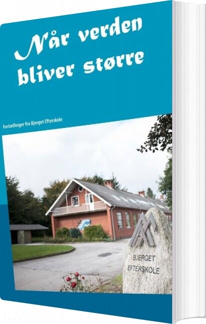 Når Verden Bliver Større - Steffen Krøyer - Bog - Books On Demand