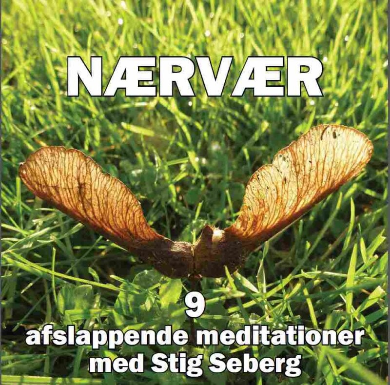 Nærvær - Stig Seberg - Bog - Evolvia