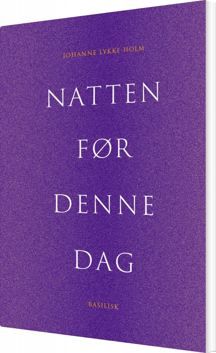 Natten Før Denne Dag - Johanne Lykke Holm - Bog - Basilisk