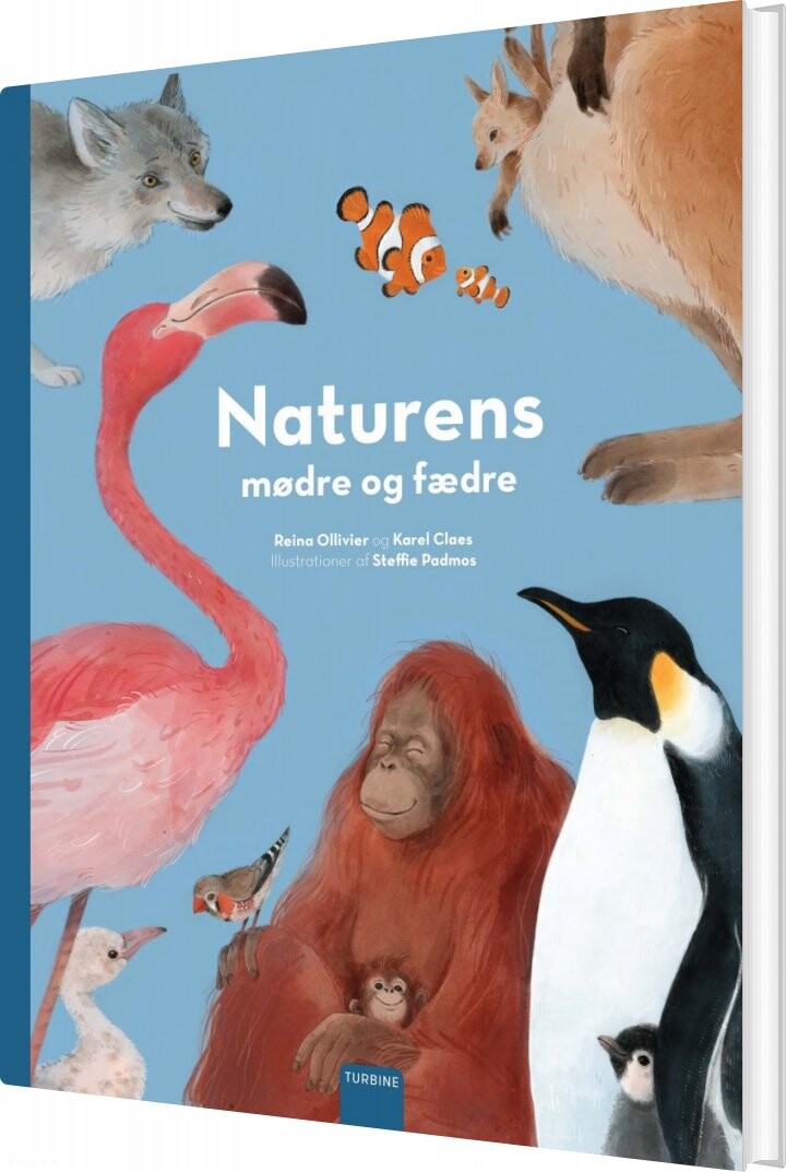 Naturens Mødre Og Fædre - Reina Ollivier - Bog - Turbine