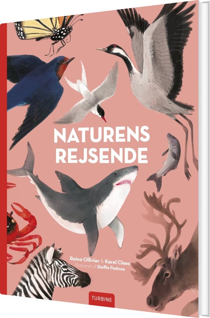 Naturens Rejsende - Reina Ollivier - Bog - Turbine
