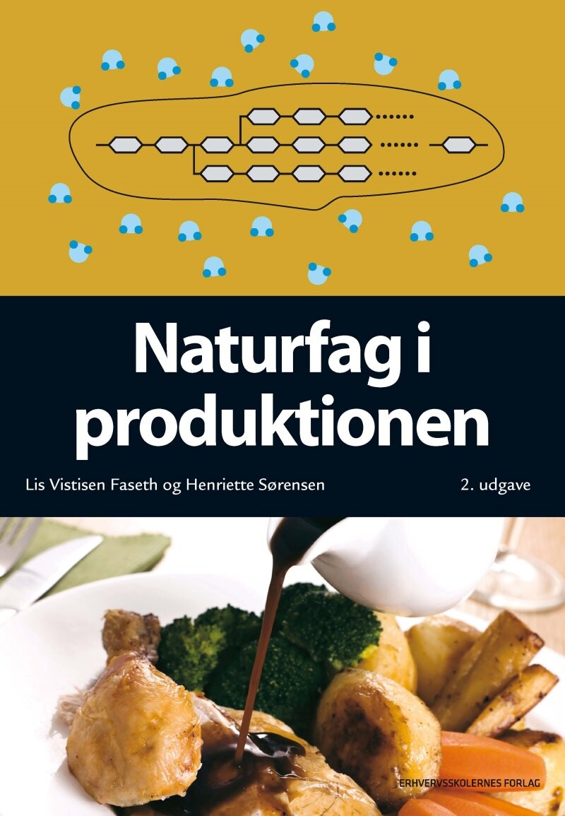 Naturfag I Produktionen - Henriette Sørensen - Bog - Praxis