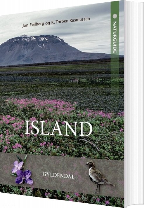 Naturguide Island - Jon Feilberg - Bog - Gyldendal