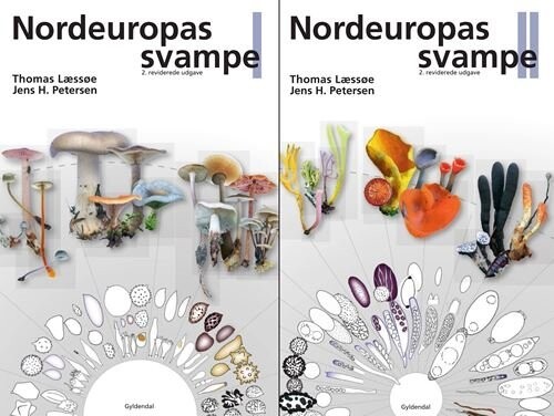 Nordeuropas Svampe 1-2 - Thomas Læssøe - Bog - Gyldendal