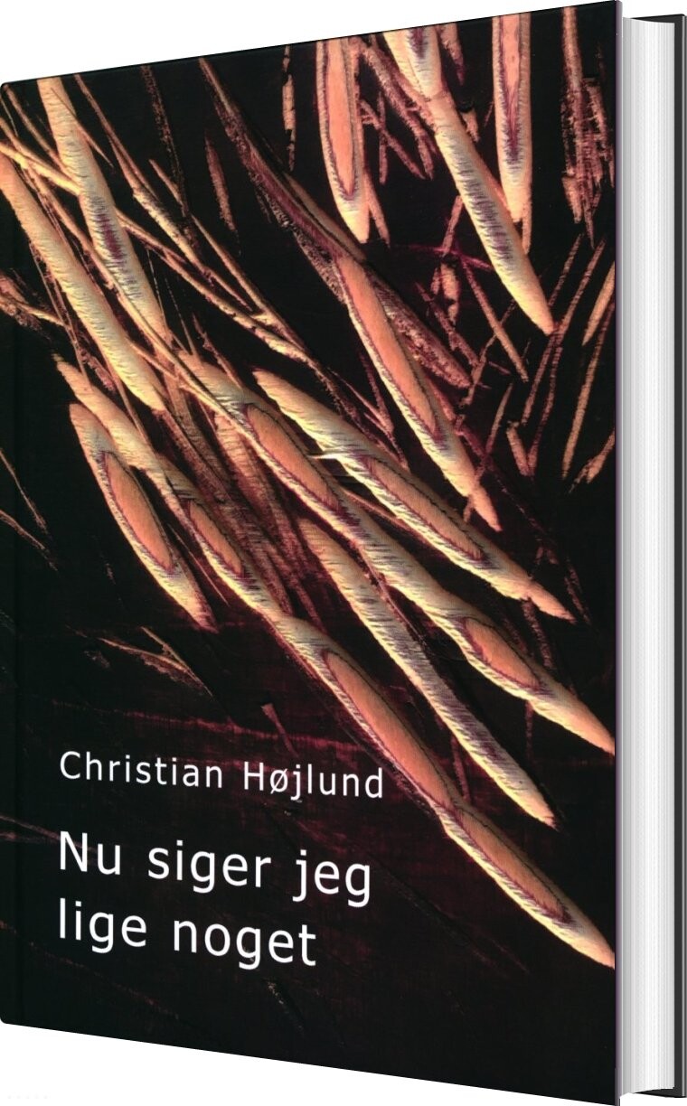 Nu Siger Jeg Lige Noget - Christian Højlund - Bog - Veivad
