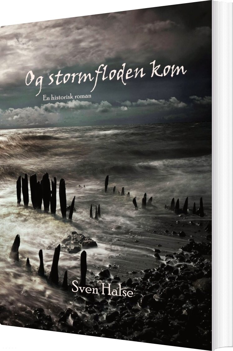 Og Stormfloden Kom - Sven Halse - Bog - Sydhav Forlag