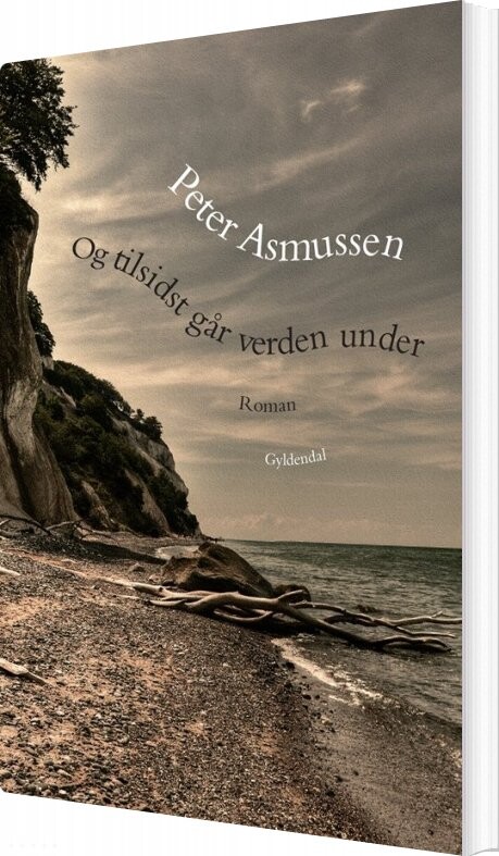 Og Tilsidst Går Verden Under - Peter Asmussen - Bog - Gyldendal