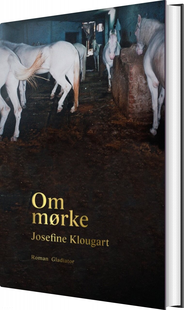 Om Mørke - Josefine Klougart - Bog - Forlaget Gladiator