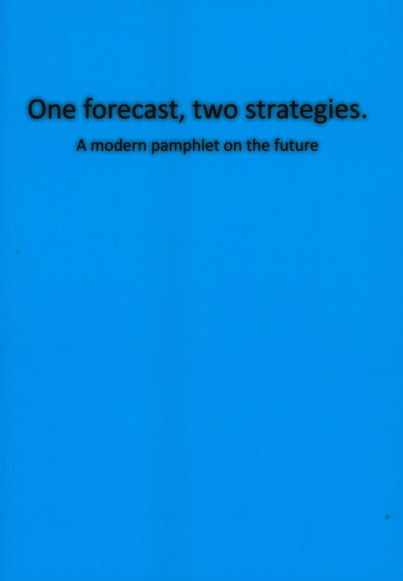 One Forecast, Two Strategies - Thomas Nielsen - Bog