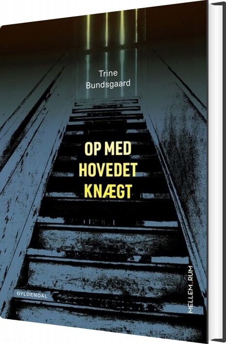 Mellem_rum. Op Med Hovedet Knægt - Trine Bundsgaard - Bog - Gyldendal