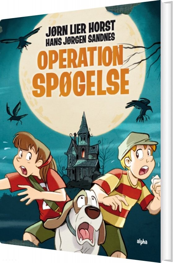 Operation Spøgelse - Jørn Lier Horst - Bog - Alpha Forlag