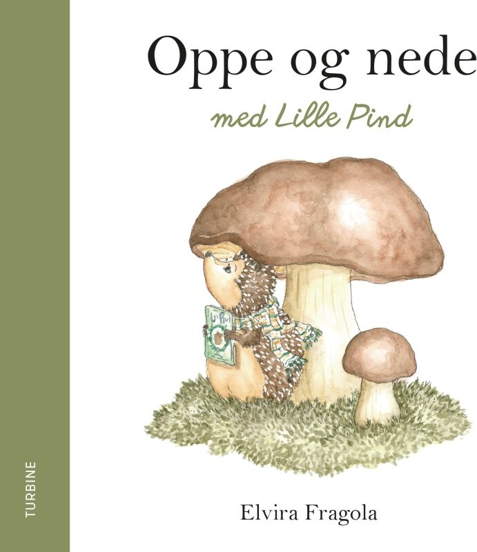 Oppe Og Nede Med Lille Pind - Elvira Fragola - Bog - Turbine