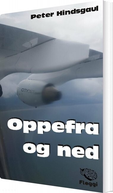 Oppefra Og Ned - Peter Hindsgaul - Bog - Fleggi