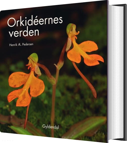 Orkidéernes Verden - Henrik ærenlund Pedersen - Bog - Gyldendal