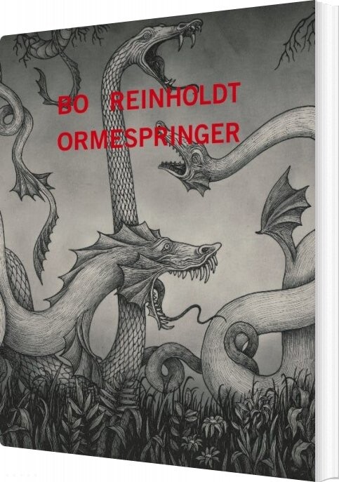 Ormespringer - Bo Reinholdt - Bog - Escho