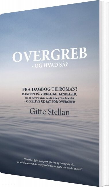 Overgreb - Og Hvad Så? - Gitte Stellan - Bog - Books On Demand