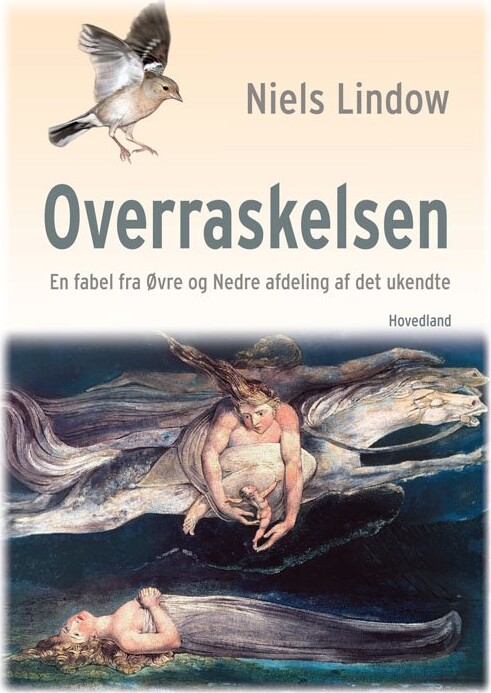 Overraskelsen - En Fabel Fra øvre Og Nedre Afdeling Af Det Ukendte - Niels Lindow - Bog - Hovedland