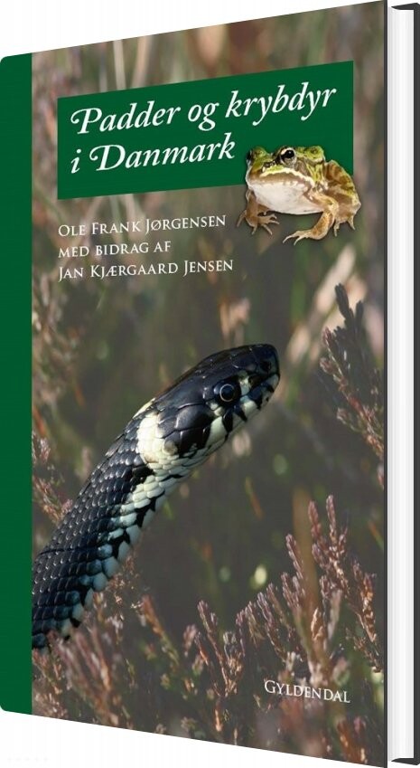 Padder Og Krybdyr I Danmark - Ole Frank Jørgensen - Bog - Gyldendal