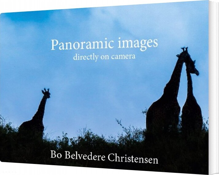 Panoramic Images - Bo Belvedere Christensen - English Book - Books On Demand