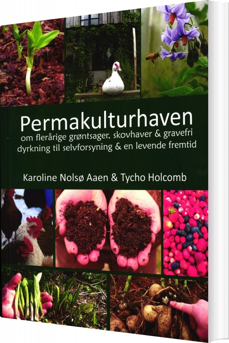 Permakulturhaven - Karoline Nolsø Aaen - Bog - Myrrhis
