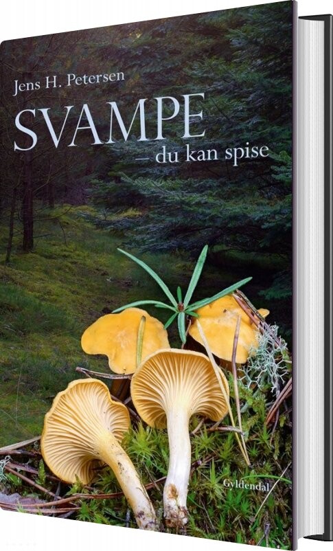 Svampe - Du Kan Spise - Jens H. Petersen - Bog - Gyldendal