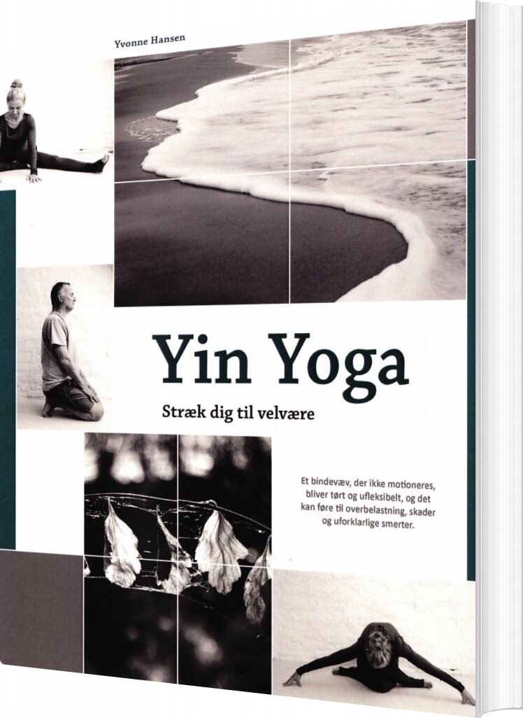 Yin Yoga - Yvonne Hansen - Bog - Bogasin